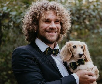 Dachshund Xmas Collection