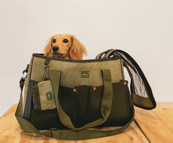 Dachshund sales travel bag