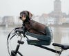 Teckel fietsmand