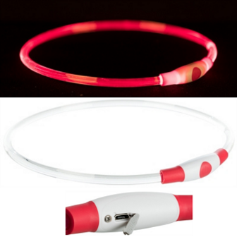 LICHTGEVENDE HALSBAND | USB OPLAADBAAR | ROOD