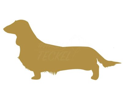 Langhaar Teckel sticker