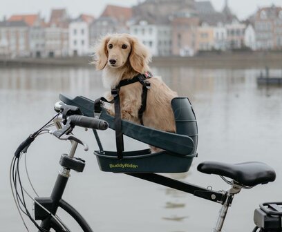 Teckel fietsmand