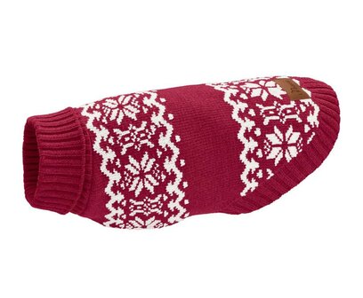 Kersttrui voor Teckel