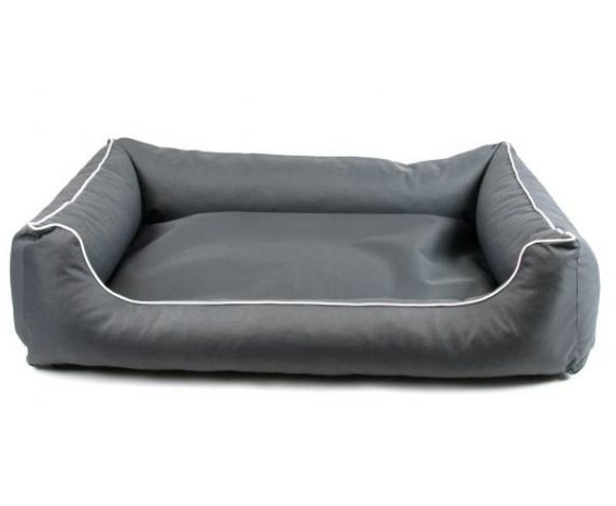 Mand voor Teckel