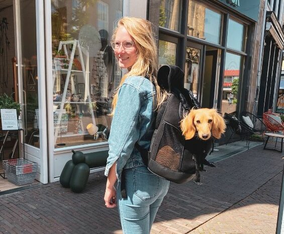 TECKEL HONDEN RUGZAK TOT 6 KG ZWART hashteckel