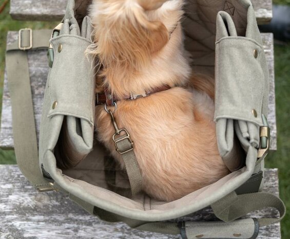 DACHSHUND TRAVEL BAG 2 IN 1 UP TO 7 KG ARMY GREEN hashteckel