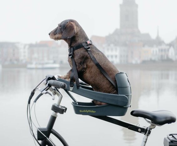 Teckel fietsmand