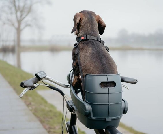 Teckel fietsmand