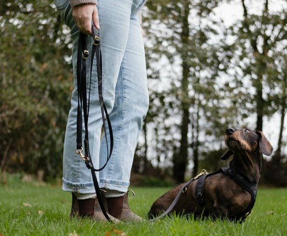 Lange riem