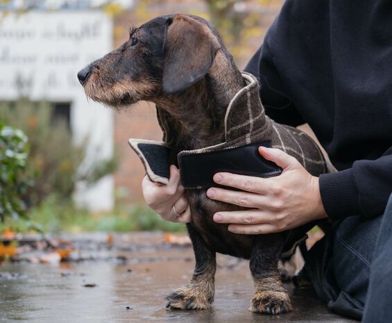 Teckel winterjas