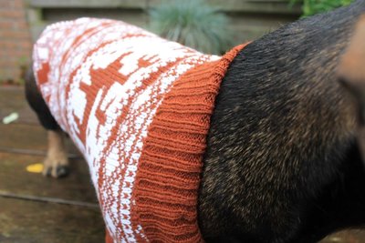 TECKEL WINTERTRUI | BRUIN