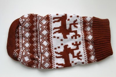 TECKEL WINTERTRUI | BRUIN