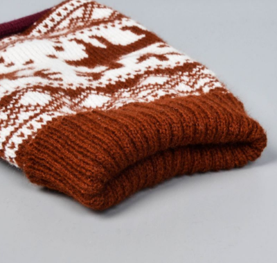 TECKEL WINTERTRUI | BRUIN