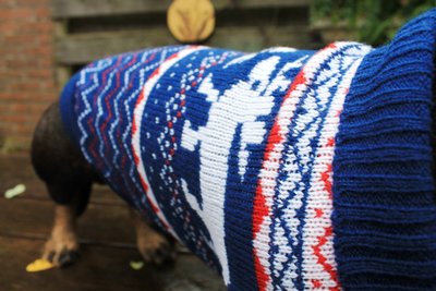 TECKEL WINTERTRUI | BLAUW