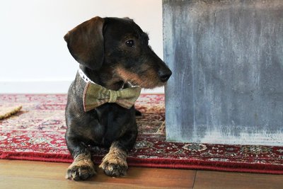 VLINDERDAS | TWEED & TARTAN BEIGE