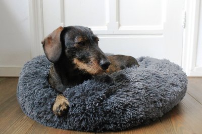 TECKEL MAND | FLUFFY DONUT GREY