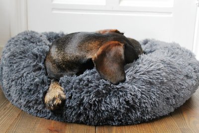 TECKEL MAND | FLUFFY DONUT GREY