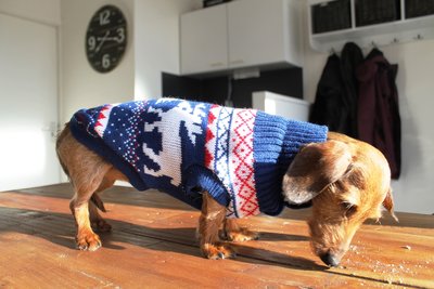 TECKEL WINTERTRUI | BLAUW