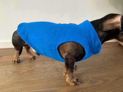 TECKEL TRUI | FLEECE BLAUW