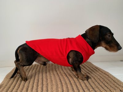 TECKEL TRUI | FLEECE ROOD