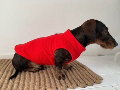 TECKEL TRUI | FLEECE ROOD