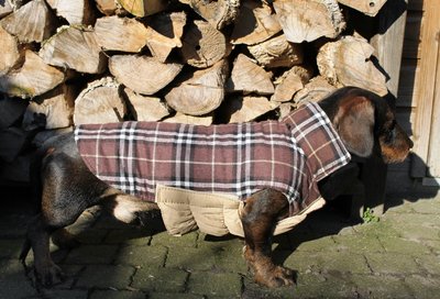TECKEL JAS | WATERDICHT BRUIN / BEIGE