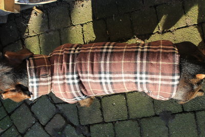 TECKEL JAS | WATERDICHT BRUIN / BEIGE