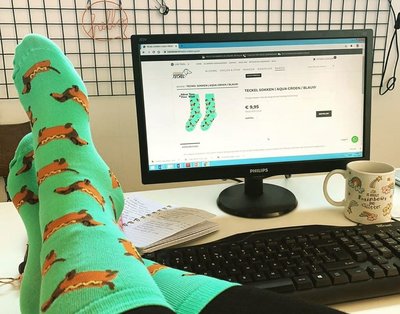 TECKEL SOKKEN | AQUA GROEN / BLAUW