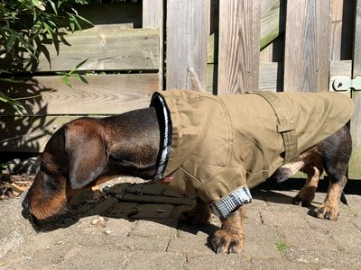 TECKEL JAS | TRENCHCOAT CAPUCHON | GROEN