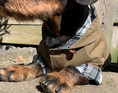 TECKEL JAS | TRENCHCOAT CAPUCHON | GROEN