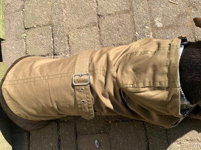 TECKEL JAS | TRENCHCOAT CAPUCHON | GROEN