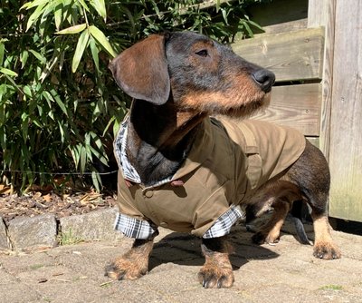 TECKEL JAS | TRENCHCOAT CAPUCHON | GROEN