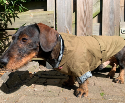 TECKEL JAS | TRENCHCOAT CAPUCHON | GROEN