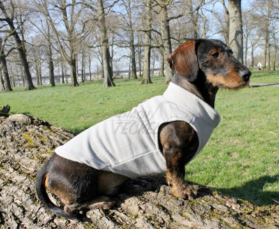TECKEL TRUI | FLEECE GRIJS
