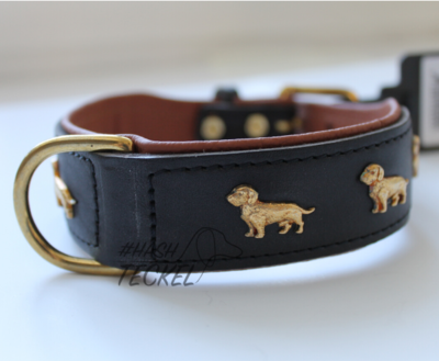 HALSBAND MET TECKELS | LEER