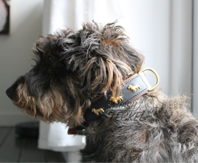 HALSBAND MET TECKELS | LEER
