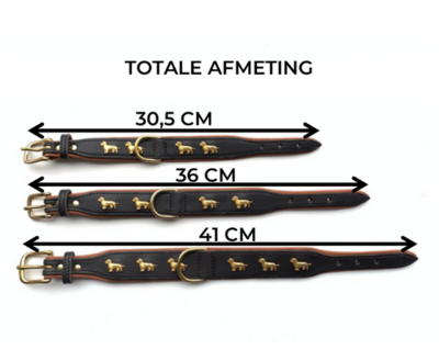 HALSBAND MET TECKELS | LEER