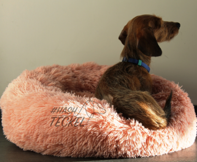 TECKEL MAND | FLUFFY DONUT PINK