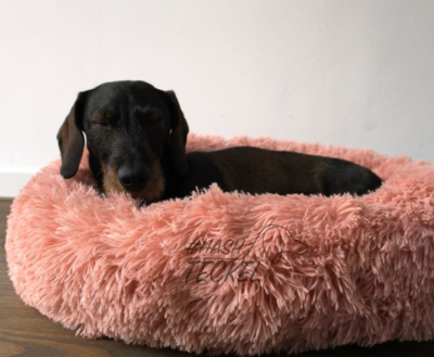 TECKEL MAND | FLUFFY DONUT PINK