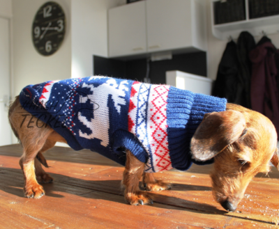 TECKEL WINTERTRUI | BLAUW