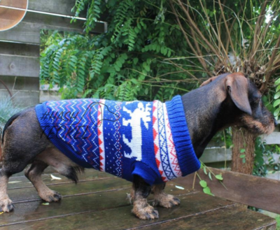 TECKEL WINTERTRUI | BLAUW