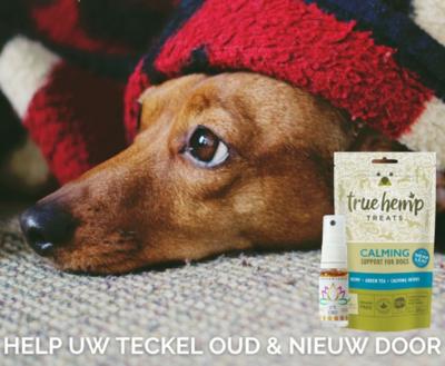 KALMERENDE HONDENBOX | CBD & TRUE HEMP