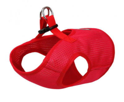 TECKEL HARNAS | ROOD