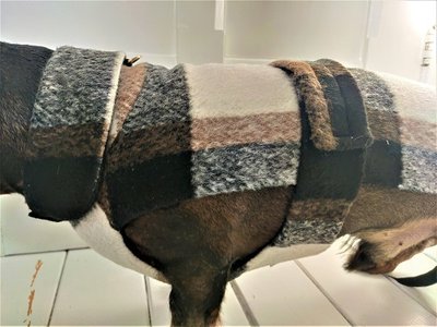 TECKEL WOLLEN JAS | ALPACA & KASJMIER | OTTA'S FRIENDS