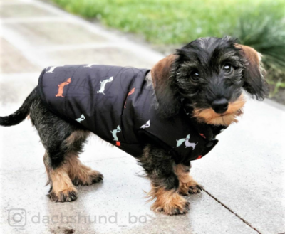 TECKEL JAS MET TECKELS | FLEECE GEVOERD | ZWART