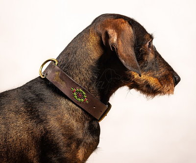 TECKEL HALSBAND | DONKERBRUIN & GOUD | OTTA'S FRIENDS