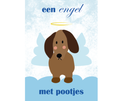 TECKEL ANSICHTKAART | ENGEL MET POOTJES