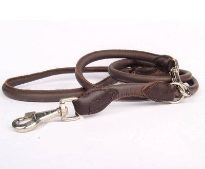 LEREN HONDENRIEM | RONDGENAAID | BRUIN / ZILVER