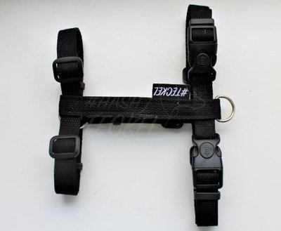 HASHTECKEL'S TECKEL H-TUIG | BASIC | ZWART