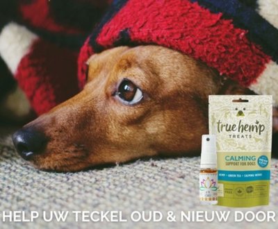 KALMERENDE HONDENBOX | CBD & TRUE HEMP